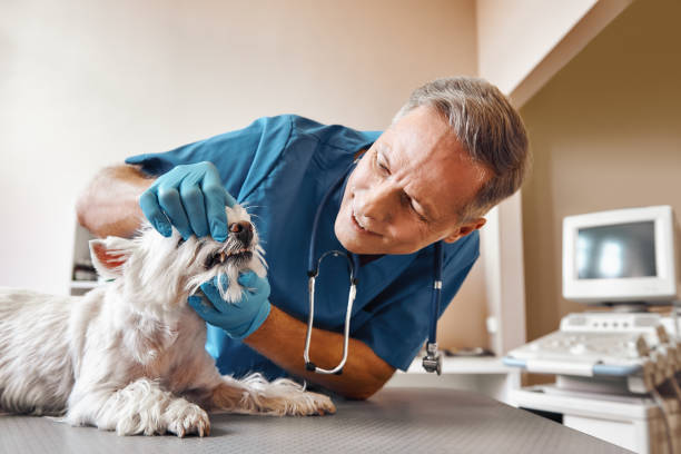 Best Emergency Dental Extractions in Mobile, AL